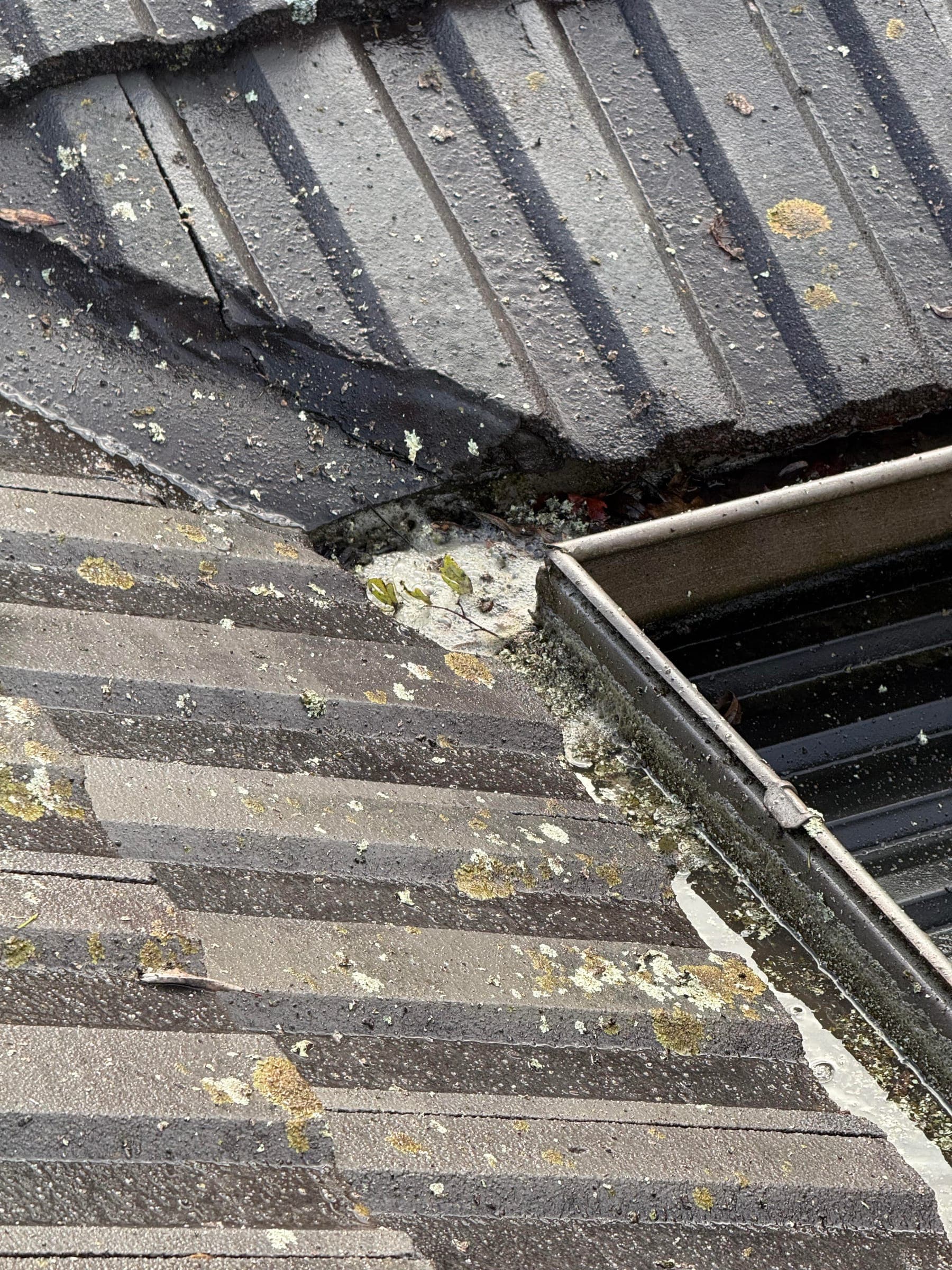 Debris and lichen building up where a tiled roof meets the gutter